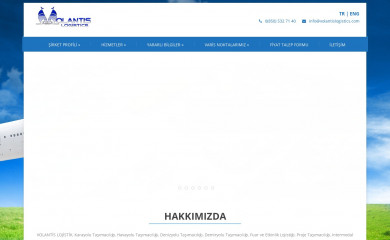 volantislogistics.com screenshot