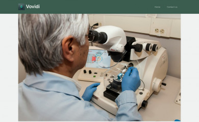 vovidi.com screenshot