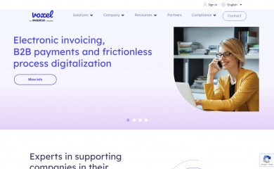voxelgroup.net screenshot