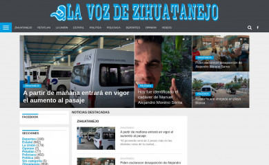 vozihuatanejo.com.mx screenshot