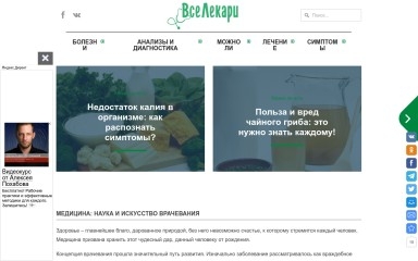 vselekari.com screenshot