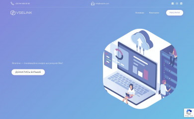 vselink.com screenshot