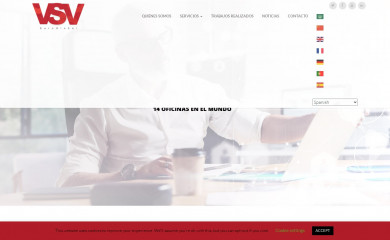 vsveuroglobal.com screenshot