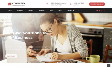 www.themechampion.com/demo/consultexlst screenshot