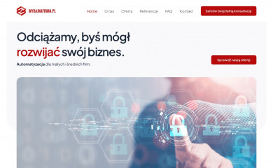 wydajnafirma.pl screenshot
