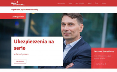 wylandubezpieczenia.pl screenshot