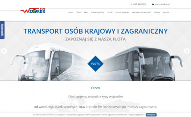 wzorek-bus.pl screenshot