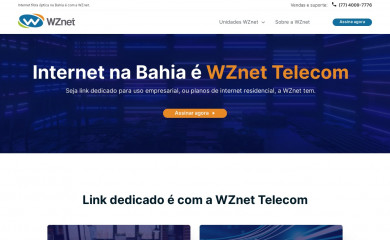 wznet.com.br screenshot
