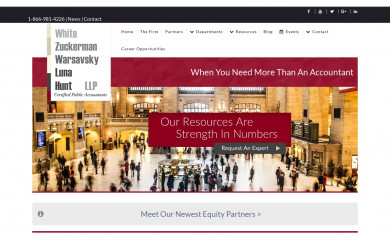 wzwlh.com screenshot