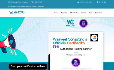 waayeelconsulting.com screenshot