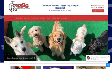 wagsdaycamp.com screenshot