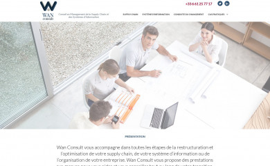 wan-consult.com screenshot
