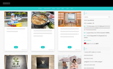 wanchen-travel.com screenshot
