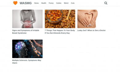 wasmg.com screenshot