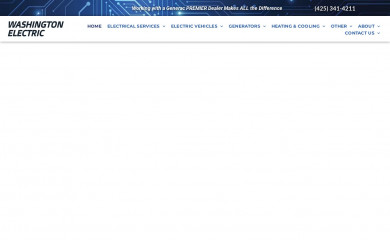 washingtonelectric.net screenshot