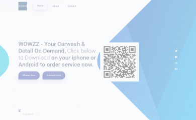 washonwheelzz.com screenshot