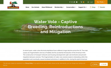 water-vole.org.uk screenshot