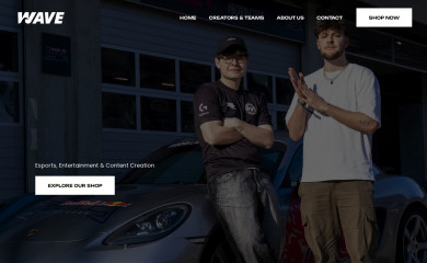 wave-esports.com screenshot