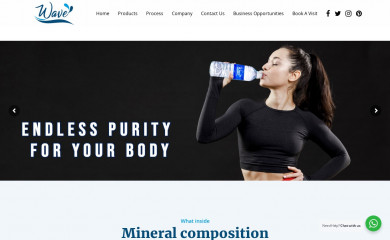 wavewaterindia.com screenshot