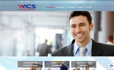 wcspecialists.com.au screenshot