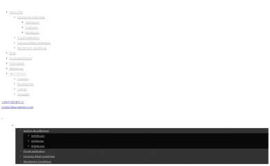 webmuseo.com screenshot