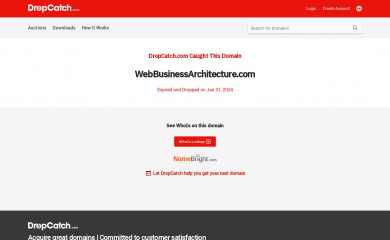 webbusinessarchitecture.com screenshot