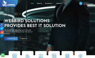 webbirdsolutions.com screenshot