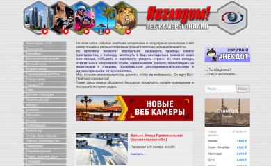 webcam-oko.ru screenshot