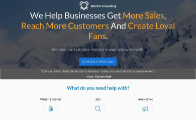 webratconsulting.com screenshot