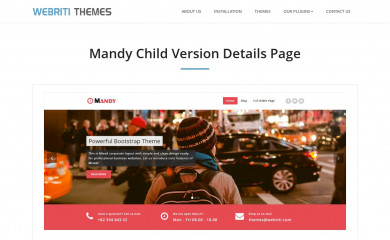https://webriti.com/mandy-child-version-details-page/ screenshot