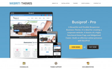 BusiProf Pro screenshot