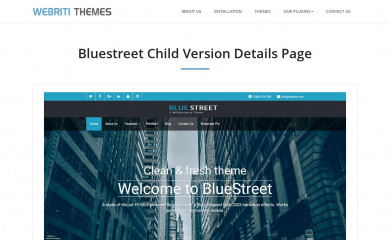 Bluestreet screenshot