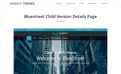 https://webriti.com/bluestreet-child-version-details-page/ screenshot