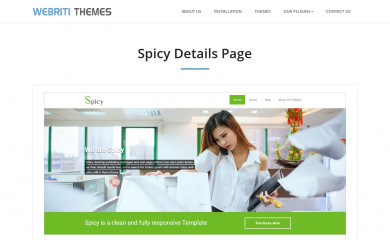 https://webriti.com/spicy-details-page/ screenshot