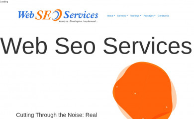 webseoservices.in screenshot