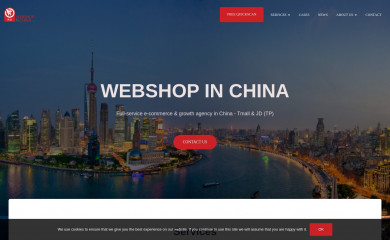 webshopinchina.com screenshot