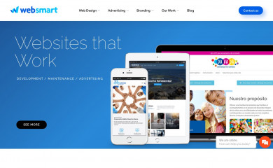 http://www.websmart.cl screenshot