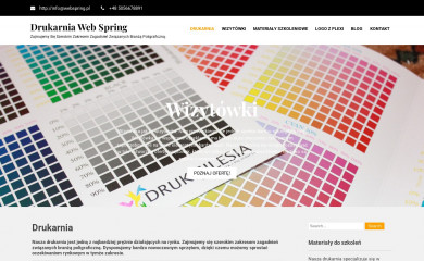 webspring.pl screenshot