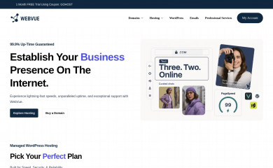 webvue.net screenshot