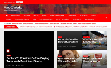 webzworks.com screenshot