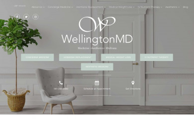 wellingtonmd.com screenshot