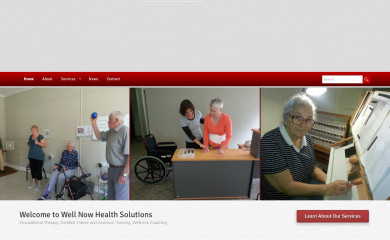wellnowhealthsolutions.com.au screenshot