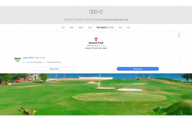 wenkaiin.com screenshot