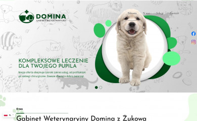 wet-zukowo.pl screenshot