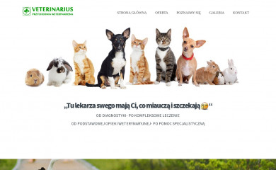 weterynarz-mszczonow.pl screenshot