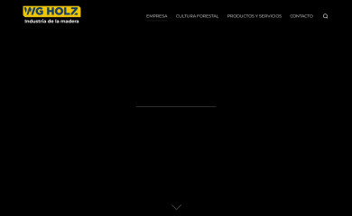 wgholz.com screenshot