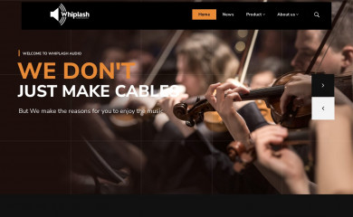 whiplashaudio.com screenshot