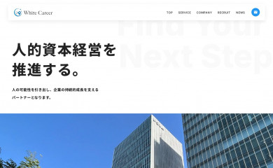 white-career.net screenshot