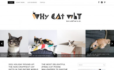 whycatwhy.com screenshot