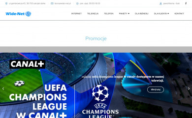 wide-net.pl screenshot